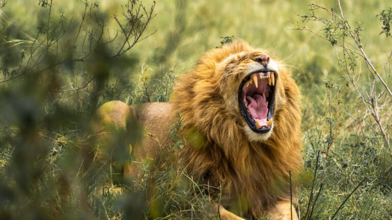 Best Places to Visit in Kenya