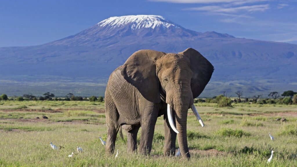 Explore Amboseli National Park