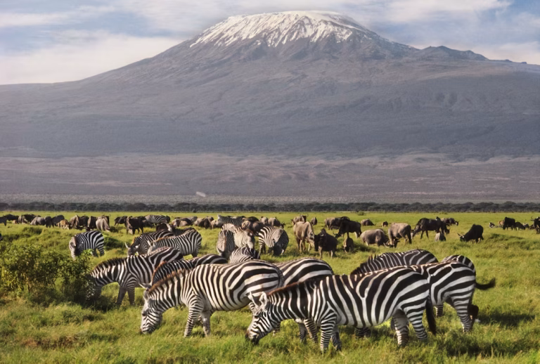 148309239_full Nairobi to Amboseli National Park