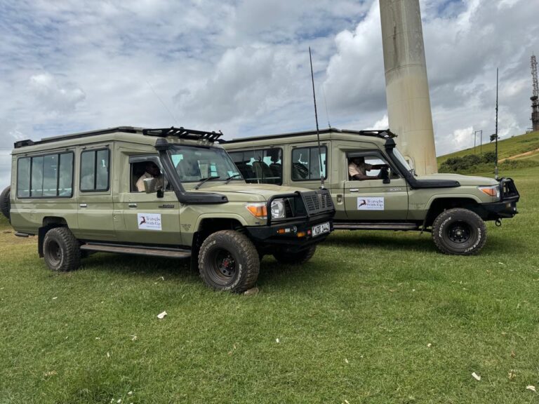 whatsapp-image-2025-07-03-at-10-55-50-am-1 Safari Vehicles