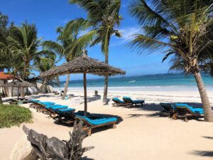 End-of-Year Holiday Tours in East Africa: A Perfect Escape with Kip Travels As the year draws to a close, many of us find ourselves yearning for a well-deserved holiday. What better way to unwind and reflect on the year's accomplishments than by exploring the majestic landscapes and rich cultures of East Africa? Whether you seek the thrill of a safari, the relaxation of beach holidays, or an immersive cultural experience, East Africa offers the perfect destination for your end-of-year holiday. With Kip Travels, the top-ranking travel agency in Kenya, you can experience the best safari experiences, tailored to your preferences. Why Choose East Africa for Your End-of-Year Holiday? East Africa is a diverse and vibrant region that promises unforgettable experiences. From the iconic savannahs of the Serengeti to the stunning beaches of Zanzibar, East Africa offers a unique blend of natural beauty, wildlife, and rich culture. Here are some reasons why this part of the world should be at the top of your holiday travel list: Unmatched Safari Experiences: With world-renowned national parks and game reserves, East Africa is home to the best safari experiences in the world. Witness the awe-inspiring Great Migration in Kenya and Tanzania, observe the "Big Five" in their natural habitat, and enjoy the thrilling adventure of game drives, bush walks, and hot air balloon safaris. Cultural Immersion: Discover the ancient traditions and modern-day lifestyles of East Africa's diverse tribes. Whether it's learning about the Maasai culture in Kenya, the Swahili heritage in Zanzibar, or exploring the rich history of Rwanda, East Africa is a cultural mosaic that will leave you in awe. Breathtaking Landscapes: East Africa is blessed with stunning landscapes that cater to all types of travelers. From the rolling hills of Uganda’s Bwindi Impenetrable Forest to the pristine beaches of Zanzibar and the dramatic deserts of Namibia, you can find your perfect getaway. Kip Travels: Your Gateway to the Best Holiday Tours Kip Travels is your ultimate travel solutions agency in Kenya, specializing in bespoke holiday packages tailored to your interests. As a top Kenya safaris company in Kenya, we take pride in curating unforgettable travel experiences that cater to your specific needs and preferences. Whether you're planning a romantic getaway, a family vacation, or a solo adventure, Kip Travels is here to make your East African holiday a reality. Here’s a look at some of the top destinations and activities that Kip Travels recommends for your end-of-year holiday: