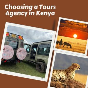 What International Travellers Should Check When Choosing a Tours Agency in Kenya Kenya, the land of breathtaking safaris, golden savannahs, pristine beaches, and rich cultural heritage, remains one of the world’s most sought-after travel destinations. From the world-famous Maasai Mara and Amboseli National Park to the magical Diani Beach and Mount Kenya, this East African jewel offers unforgettable experiences. However, for international travellers, choosing the right tours and travel agency in Kenya can make the difference between an average trip and an extraordinary adventure. The right agency ensures safety, comfort, professional guidance, and value for money. In this blog, we’ll guide you through what to look for when choosing a safari and travel company in Kenya — and why Kip Travels stands out as the best tours agency in Kenya for travellers seeking memorable experiences across the country. 1. Verify the Company’s Legitimacy and Experience The first step for any international traveller is to confirm that the tour operator is legally registered and licensed to operate in Kenya. A legitimate agency should be accredited by reputable tourism bodies such as the Kenya Association of Tour Operators (KATO), Tourism Regulatory Authority (TRA), or Kenya Tourism Board (KTB). An experienced agency knows how to handle logistics such as park entry fees, hotel bookings, domestic flights, and transfers seamlessly. They also have well-trained guides who understand Kenya’s diverse wildlife, culture, and geography. At Kip Travels, we have years of experience organizing tailored safaris, beach holidays, and cultural tours for travellers from around the world. Our long-standing partnerships with lodges, transport providers, and national parks ensure you get the best service and value throughout your stay.
