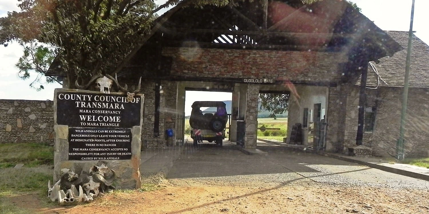 Masai Mara Safari: Kenya's Crown Jewel – Your Ultimate Guide to Africa's Most Iconic Destination 🎯 Introduction: Where Africa's Wild Heart Still Beats Strong Imagine standing on the edge of an endless golden savannah, the African sun painting the sky in shades of amber and crimson as a pride of lions prowls through the tall grass. Picture yourself witnessing millions of wildebeest thundering across the plains in one of nature's most spectacular events. Now, imagine the faces of the Maasai people—their deep red robes flowing against the backdrop of acacia trees—sharing stories passed down through generations. This isn't a dream. This is the Masai Mara. The Masai Mara National Reserve in Kenya isn't just a destination; it's a transformation. It's where the modern world fades away and you're reminded of humanity's profound connection to nature. For decades, this extraordinary ecosystem has captivated adventurers, wildlife enthusiasts, and soul-seekers from every corner of the globe. Whether you're watching a leopard hunt at dusk, marveling at a herd of elephants bathing in the Mara River, or sharing tea with Maasai warriors, every moment here etches itself into your memory forever. If you've ever dreamed of experiencing authentic Africa—not through a documentary, but through your own eyes—the Masai Mara is calling. And we're here to help you answer that call.