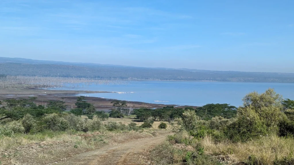 What to Pack for Your East Africa Safari – Expert Tips from Travels With Kip At Travels With Kip, we understand that packing for your East African adventure can feel overwhelming — from the wide-open savannahs of Kenya and Tanzania to the misty mountains of Uganda and Rwanda. Each destination offers a different climate, terrain, and experience. To help you travel light yet prepared, we’ve created this detailed guide on what to pack for your East Africa safari, including special recommendations for gorilla trekking in Uganda and Rwanda. With the right gear and mindset, you’ll focus less on packing stress and more on the magic that awaits you in the wild. 1. Packing for a Classic East Africa Safari When exploring Kenya’s Masai Mara, Tanzania’s Serengeti, or Uganda’s Queen Elizabeth National Park, comfort and practicality are key. Safaris often involve early morning and late evening drives when temperatures shift quickly. Clothing Essentials Lightweight, neutral-colored clothes: khaki, olive, or beige tones. Avoid black, dark blue, and bright colors — they attract insects or stand out during game drives. Layer up: mornings can be chilly while afternoons get hot. Long-sleeved shirts and trousers protect against the sun and biting insects. A hat and sunglasses for sun protection. Swimwear for lodge pools. Footwear Comfortable closed shoes or lightweight hiking boots for walking safaris. Sandals or flip-flops for around the lodge or camp. Gear & Accessories Binoculars for wildlife viewing. Camera and extra batteries or memory cards. Reusable water bottle and daypack. Travel adapter and power bank (UK-style Type G plug). Sunscreen and insect repellent. 2. Packing for Gorilla Trekking in Uganda and Rwanda