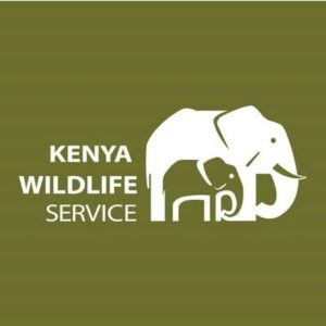 Understanding the New KWS Park Entry Rates (2025/2026) & How to Pay Through the New System Introduction Planning a safari in Kenya? The Kenya Wildlife Service (KWS) has introduced new park entry rates effective 1st October 2025, along with a new online payment system for all national parks and reserves. This guide explains the new rates and how to navigate the updated KWS portal. Why KWS Updated the Rates KWS adjusts its fees periodically to strengthen conservation financing, improve park infrastructure, enhance wildlife protection, and promote sustainable tourism. Examples of Updated KWS Rates • Nairobi National Park – Residents: KES 1,000 (high season), Non-residents: approx. USD 90 • Amboseli National Park & Lake Nakuru National Park – Non-resident adults: USD 90, children USD 45 • Hell’s Gate National Park – Non-resident adults: USD 50, Residents: KES 400–500 How to Pay Through the New KWS Online Portal 1. Visit the official KWS portal and open the Conservation Fees section. 2. Select your park. 3. Choose visitor category. 4. View updated fees. 5. Pay via M-Pesa or Visa. 6. Receive a digital receipt. 7. Present the receipt at the park gate. What This Means for Travellers • Safari costs will rise due to the updated park fees. • Payment must be completed before arrival. • Operators must include accurate KWS fees in safari costing. • Early planning helps avoid changes. • Group and student rates follow a different structure. Final Thoughts The new KWS rates support conservation and improve park management. Travels With Kip ensures all fees are correctly paid and included in your safari planning for a seamless experience.