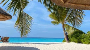 The Best Places to Visit in Kenya During Christmas: A Complete Guide for International Travellers Christmas is one of the most magical times to explore Kenya. From world‑famous wildlife reserves to pristine beaches, vibrant cities, and cultural coastal islands, Kenya offers an unforgettable holiday experience for international travellers. And when it comes to planning seamless Christmas travel in Kenya, Kip Travels stands out as the best travel agency in Kenya, offering expertly curated itineraries, professional guidance, and exceptional service for travellers from around the world. Whether you're dreaming of a warm tropical Christmas on the beach, an exciting safari adventure, or a relaxed getaway in nature, Kenya has something special for every kind of traveller. This blog shares the best places to visit in Kenya during Christmas, unique festive-season experiences, and helpful tips to make your trip smooth and memorable. Why Kenya Is an Ideal Christmas Destination Kenya is one of Africa’s most diverse and enchanting countries, making it a perfect destination for international tourists looking to celebrate Christmas in a truly extraordinary way.