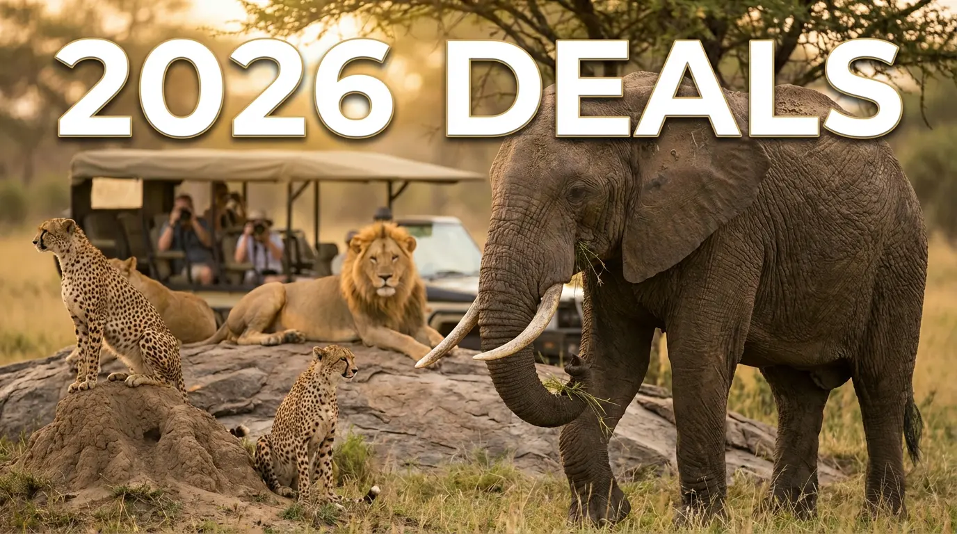 Your 2026 East African Adventure Awaits: From Dreaming to Doing
