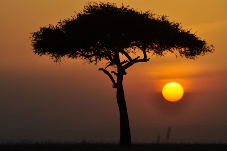 Maasai Mara Sunset